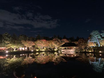 国営昭和記念公園 秋の夜散歩に投稿された画像（2024/11/10）