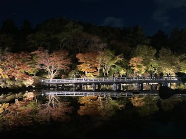 国営昭和記念公園 秋の夜散歩に投稿された画像（2024/11/10）