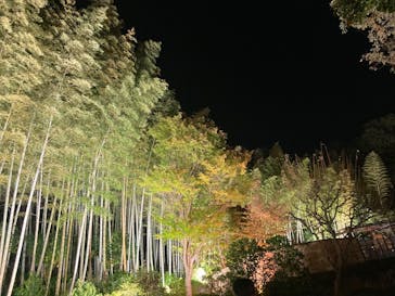 国営昭和記念公園 秋の夜散歩に投稿された画像（2024/11/10）