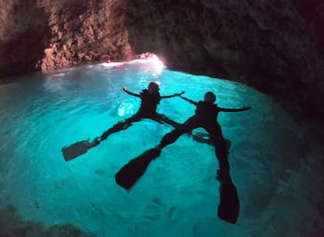 武藤潜水に投稿された画像（2024/11/10）