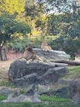 天王寺動物園に投稿された画像（2024/11/10）