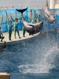 新江ノ島水族館に投稿された画像（2024/11/10）