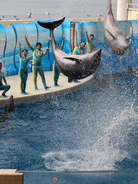 新江ノ島水族館に投稿された画像（2024/11/10）
