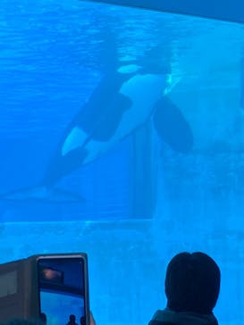 名古屋港水族館に投稿された画像（2024/11/10）
