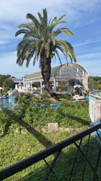 ひらかたパークに投稿された画像（2024/11/10）