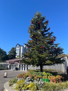 西武園ゆうえんちに投稿された画像（2024/11/10）