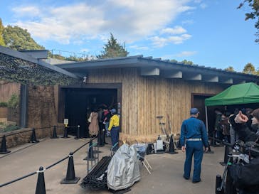 恩賜上野動物園に投稿された画像（2024/11/10）