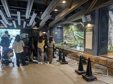 恩賜上野動物園に投稿された画像（2024/11/10）