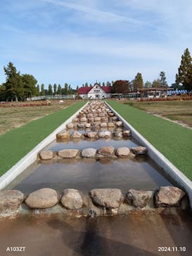 滋賀農業公園ブルーメの丘に投稿された画像（2024/11/10）