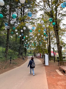 ムーミンバレーパークに投稿された画像（2024/11/10）