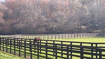 ノーザンホースパークに投稿された画像（2024/11/10）