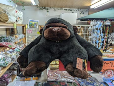 那須ワールドモンキーパークに投稿された画像（2024/11/10）