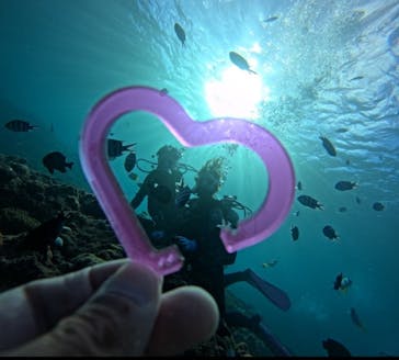 青の洞窟専門店　沖縄ダイビングショップ和に投稿された画像（2024/11/10）