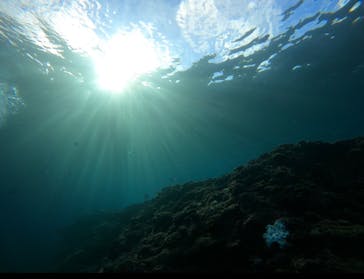 武藤潜水に投稿された画像（2024/11/10）