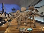 福井県立恐竜博物館に投稿された画像（2024/11/10）