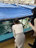 マリンワールド海の中道に投稿された画像（2024/11/10）