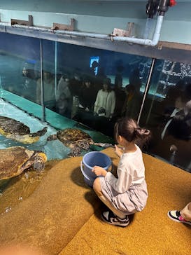 マリンワールド海の中道に投稿された画像（2024/11/10）