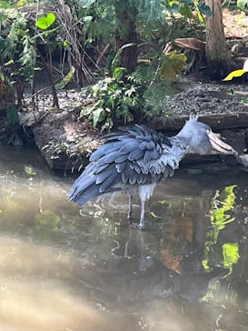 神戸どうぶつ王国に投稿された画像（2024/11/10）