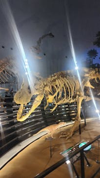 福井県立恐竜博物館に投稿された画像（2024/11/10）