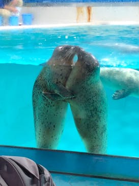 下田海中水族館に投稿された画像（2024/11/10）