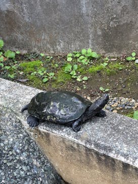 下田海中水族館に投稿された画像（2024/11/10）