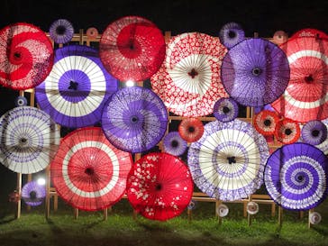 国営昭和記念公園 秋の夜散歩に投稿された画像（2024/11/10）