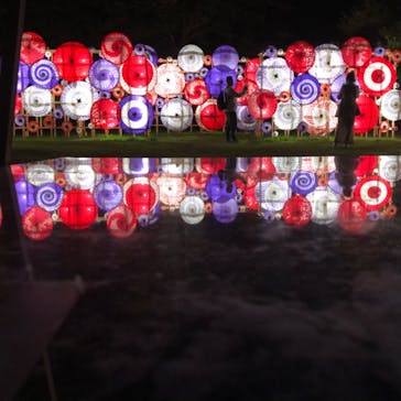 国営昭和記念公園 秋の夜散歩に投稿された画像（2024/11/10）