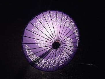 国営昭和記念公園 秋の夜散歩に投稿された画像（2024/11/10）