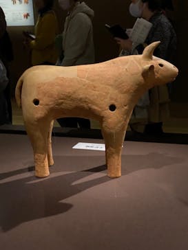 挂甲の武人 国宝指定50周年記念 特別展「はにわ」@東京国立博物館 平成館に投稿された画像（2024/11/10）