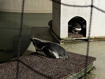 井の頭自然文化園に投稿された画像（2024/11/10）