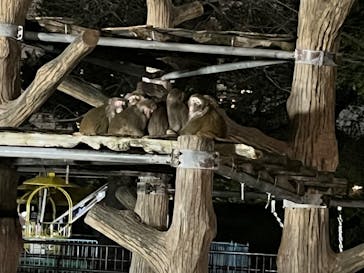 井の頭自然文化園に投稿された画像（2024/11/10）