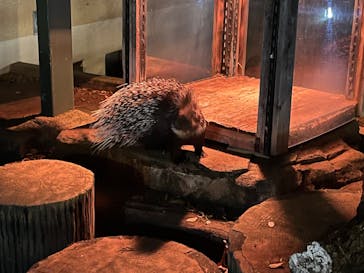 井の頭自然文化園に投稿された画像（2024/11/10）