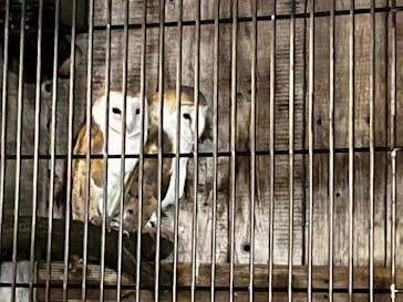 井の頭自然文化園に投稿された画像（2024/11/10）