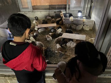 井の頭自然文化園に投稿された画像（2024/11/10）