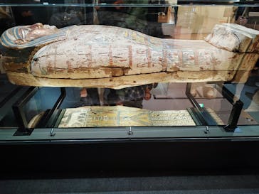 新潟県立万代島美術館に投稿された画像（2024/11/10）