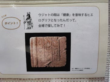 新潟県立万代島美術館に投稿された画像（2024/11/10）