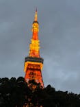 東京タワーに投稿された画像（2024/11/10）