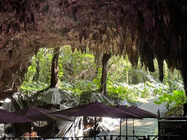 ラド観光 沖縄営業所に投稿された画像（2024/11/10）