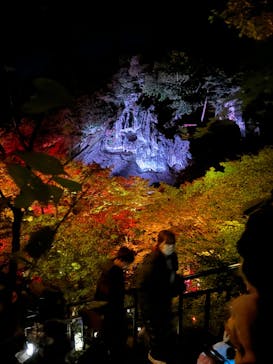 NAKED夜さんぽ™ 石川・那谷寺に投稿された画像（2024/11/10）