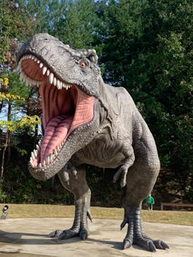 福井県立恐竜博物館に投稿された画像（2024/11/10）