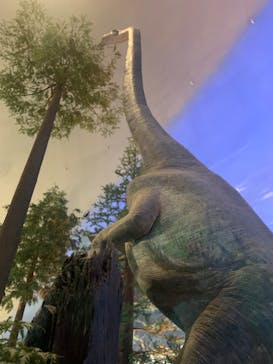 福井県立恐竜博物館に投稿された画像（2024/11/10）