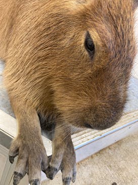 アニタッチみなとみらいに投稿された画像（2024/11/10）