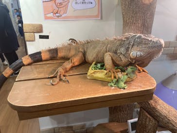 アニタッチみなとみらいに投稿された画像（2024/11/10）