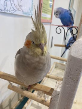 アニタッチみなとみらいに投稿された画像（2024/11/10）