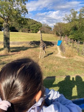 千葉市動物公園に投稿された画像（2024/11/10）