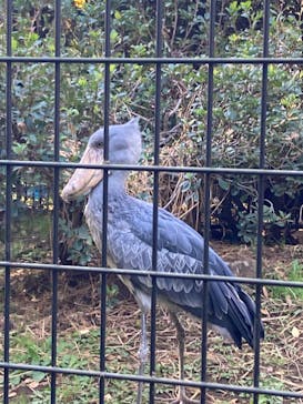 千葉市動物公園に投稿された画像（2024/11/10）