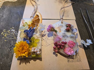 ドライフラワーと暮らしのお店 その灯ぐらし 猫洞店に投稿された画像（2024/11/10）