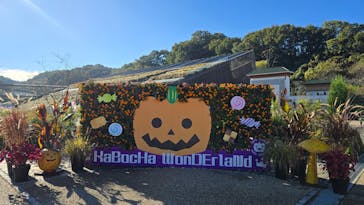 ぎふワールド・ローズガーデンに投稿された画像（2024/11/10）