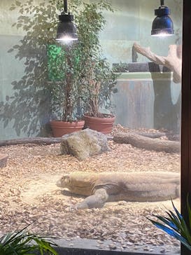 名古屋市東山動植物園に投稿された画像（2024/11/10）