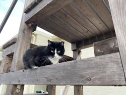 伊豆高原ダイビングスクール 渋谷店に投稿された画像（2024/11/10）